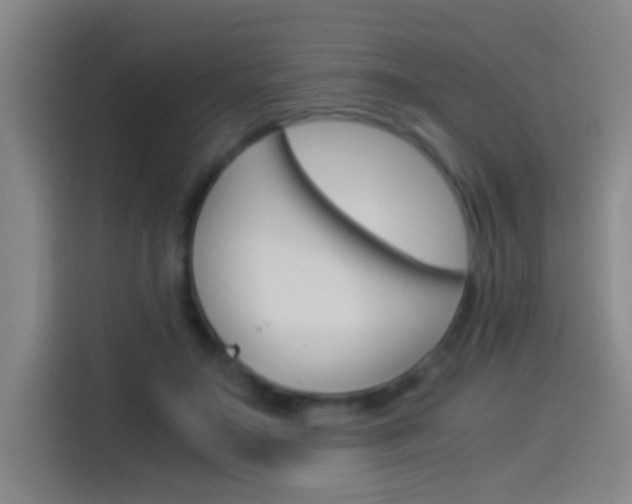 X0000114540499200910190934