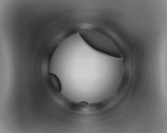 X0000114540504200910190934