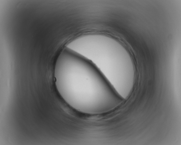 X0000114540505200910190934