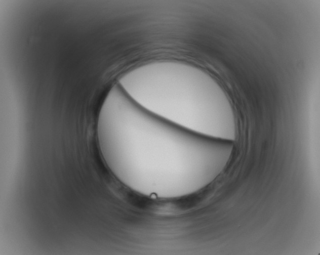 X0000114540507200910190934