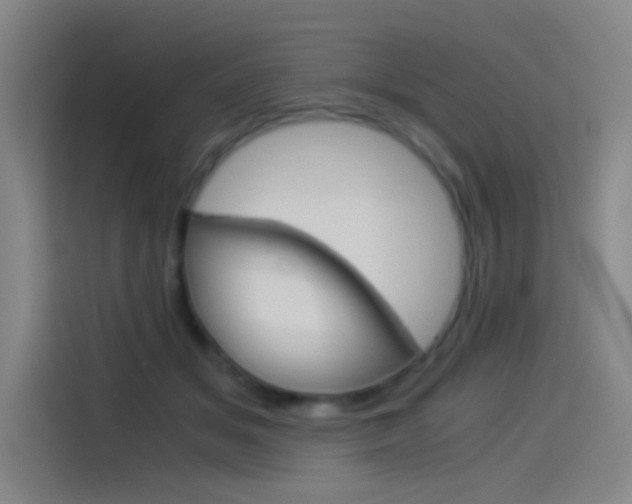 X0000114540509200910190934