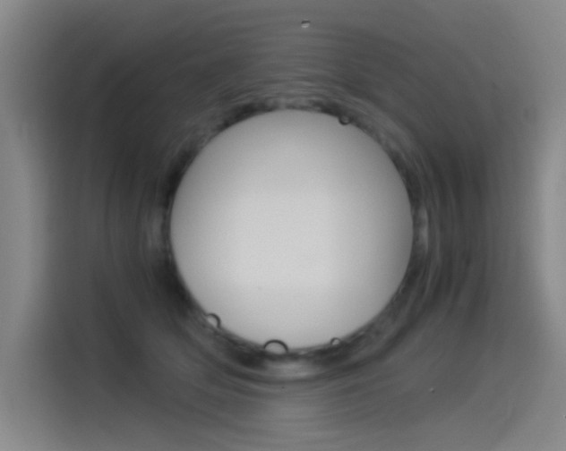 X0000114540514200910190934