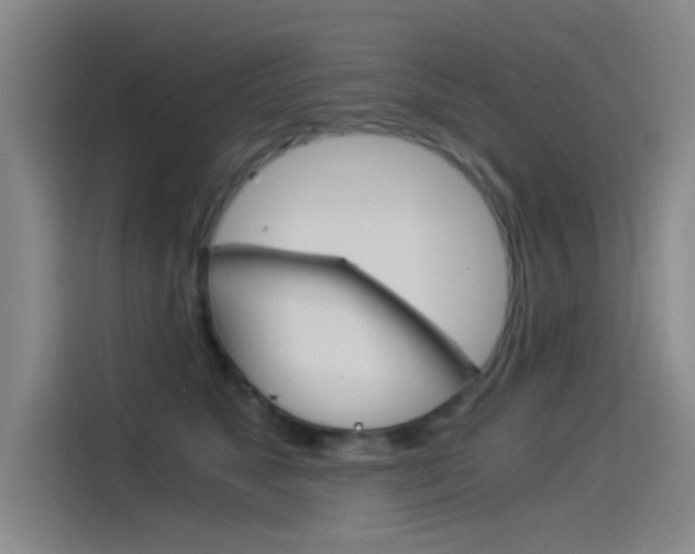 X0000114540517200910190934
