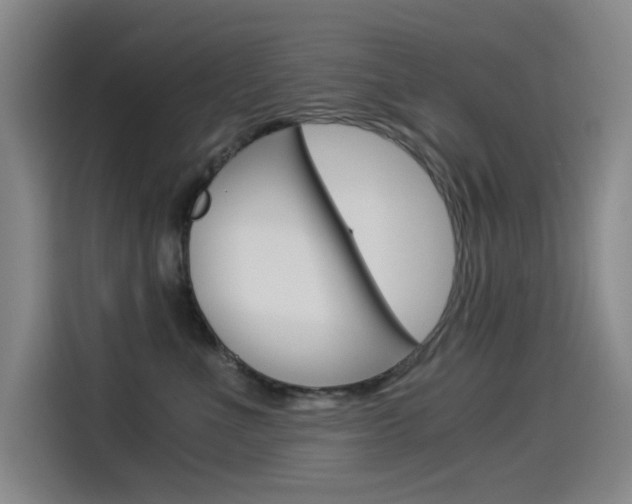 X0000114540523200910190934