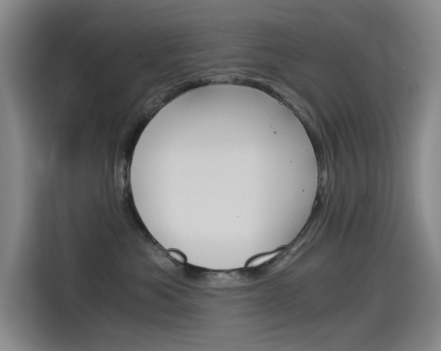 X0000114540525200910190934