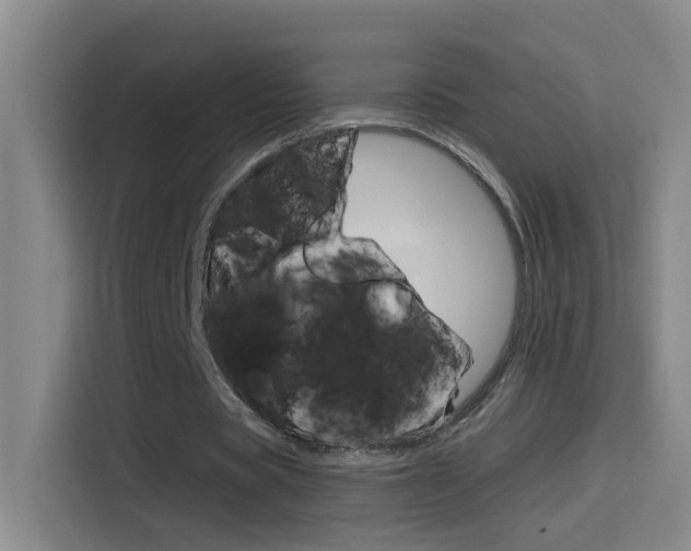 X0000114540529200910190933
