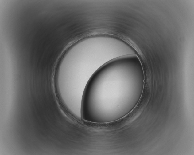 X0000114540530200910190933