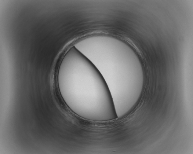 X0000114540531200910190933