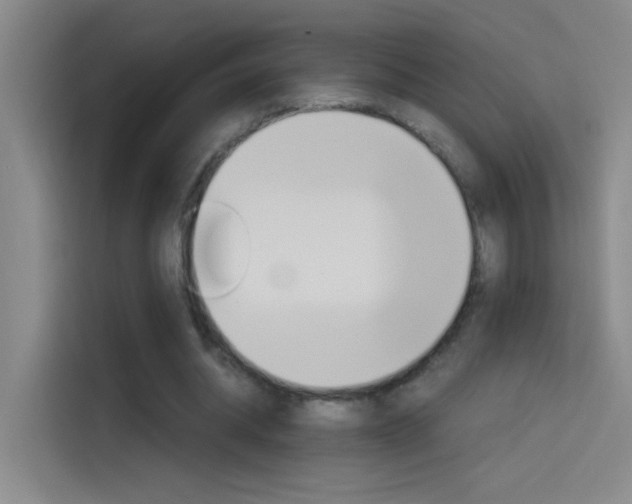 X0000114540534200910190933