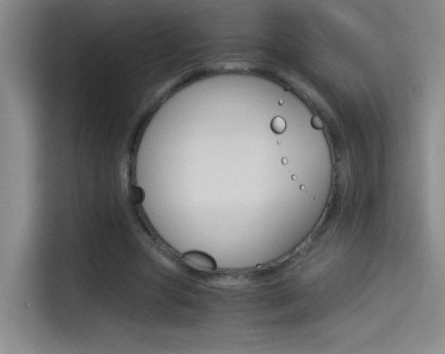 X0000114540537200910190933