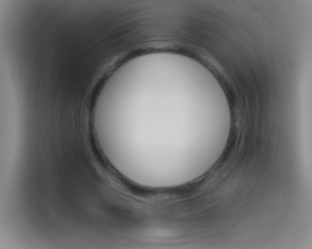 X0000114540542200910190933
