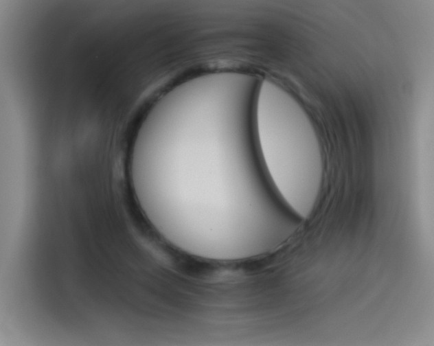 X0000114540543200910190933