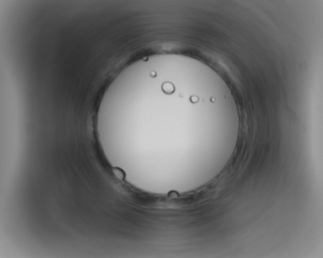 X0000114540545200910190933
