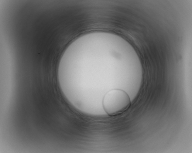X0000114540546200910190933