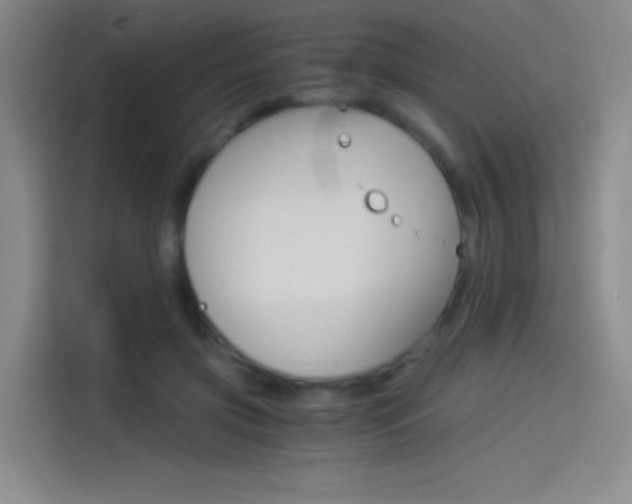 X0000114540549200910190933