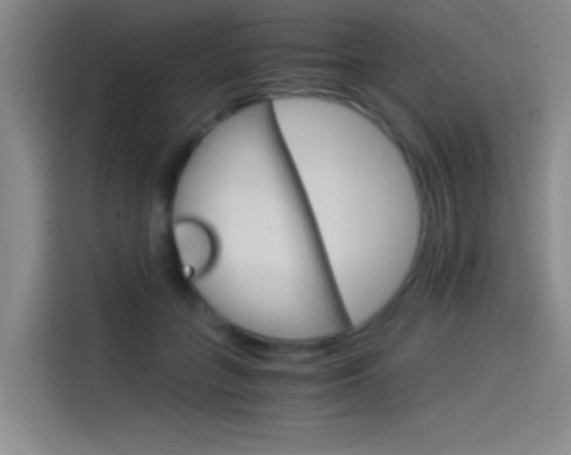 X0000114540555200910190933