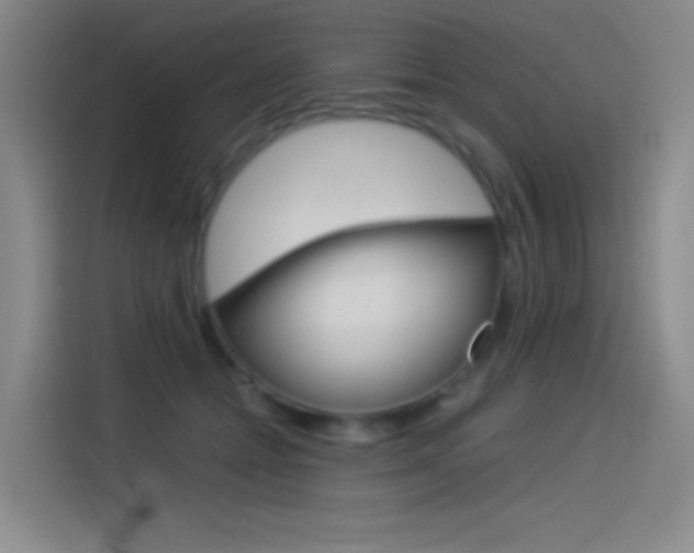 X0000114540558200910190933