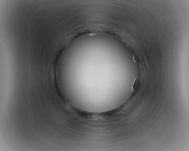 X0000114540562200910190933