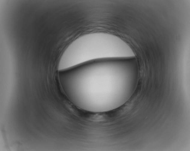 X0000114540566200910190933