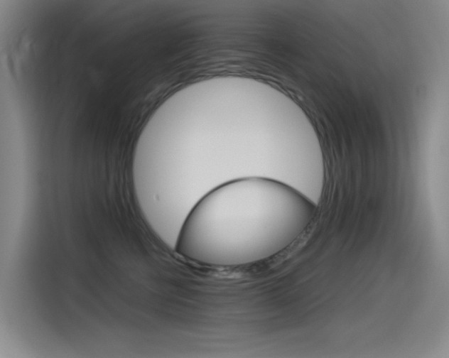 X0000114540570200910190933