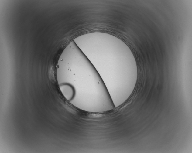 X0000114540575200910190934