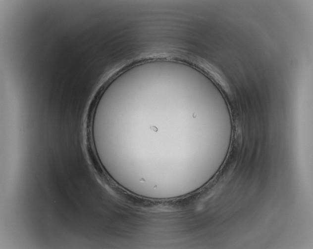 X0000114540578200910190933