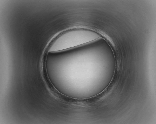 X0000114540580200910190933