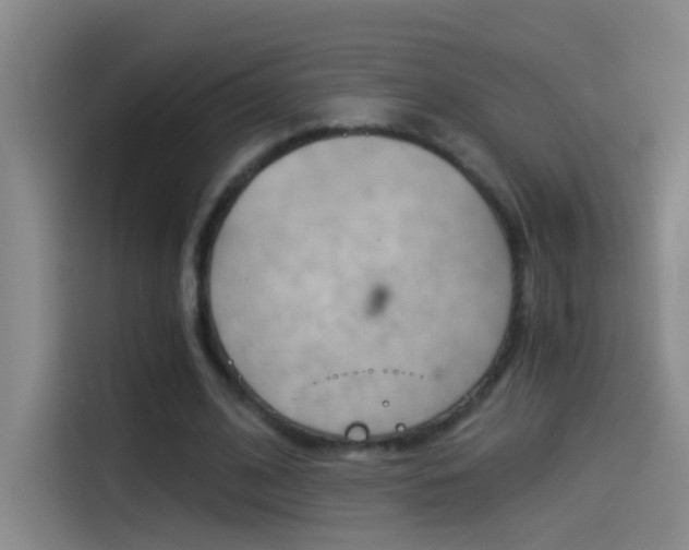X0000114540584200910190933