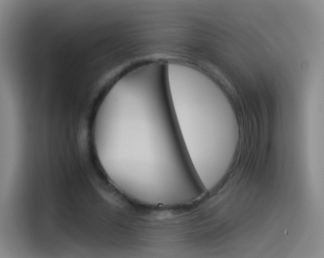 X0000114540588200910190933