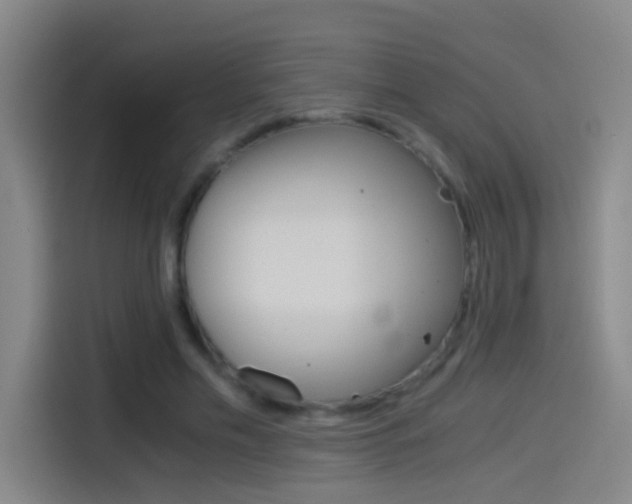 X0000114540589200910190933