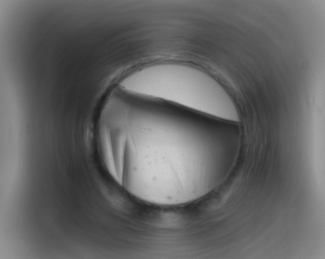X0000114540592200910190933