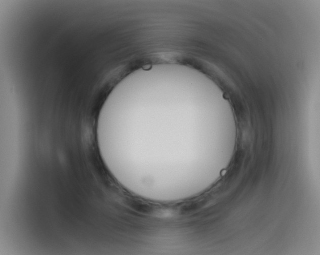 X0000114540595200910190933