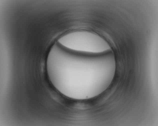 X0000114540596200910190933