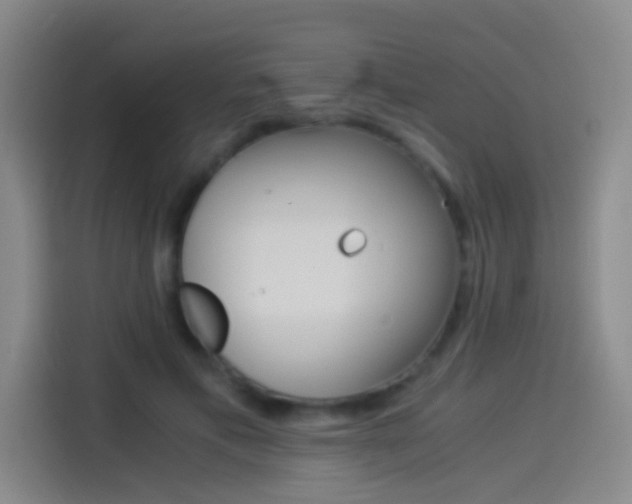 X0000114540597200910190933