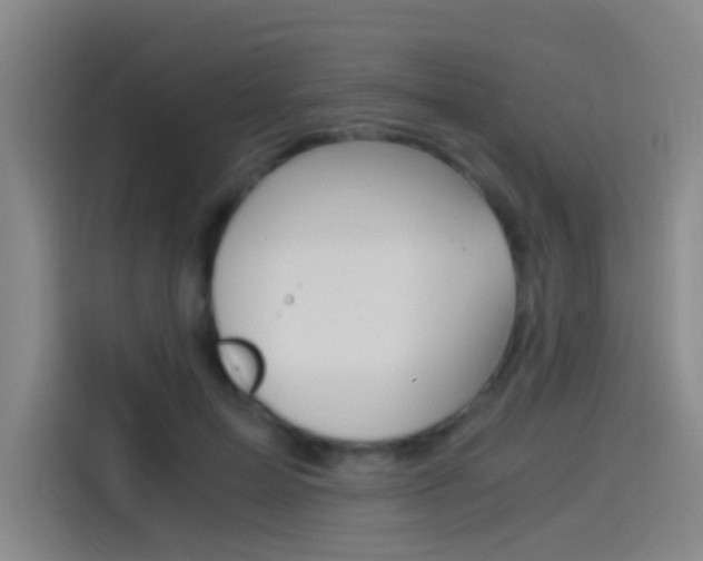 X0000114540599200910190933