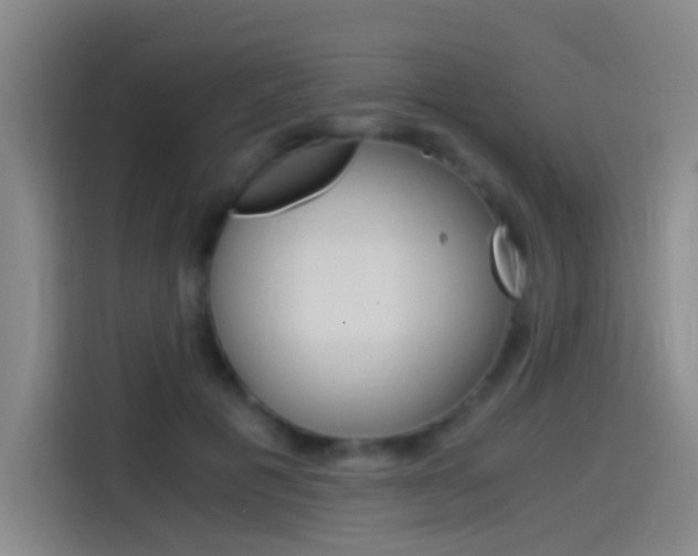X0000114540601200910190933
