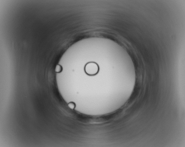 X0000114540603200910190933