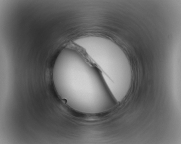 X0000114540605200910190933