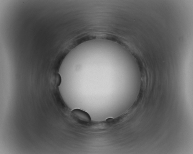 X0000114540609200910190933