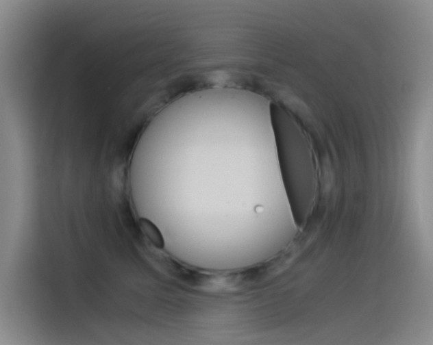 X0000114540611200910190933