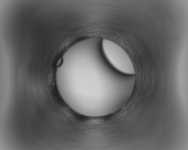 X0000114540619200910190932