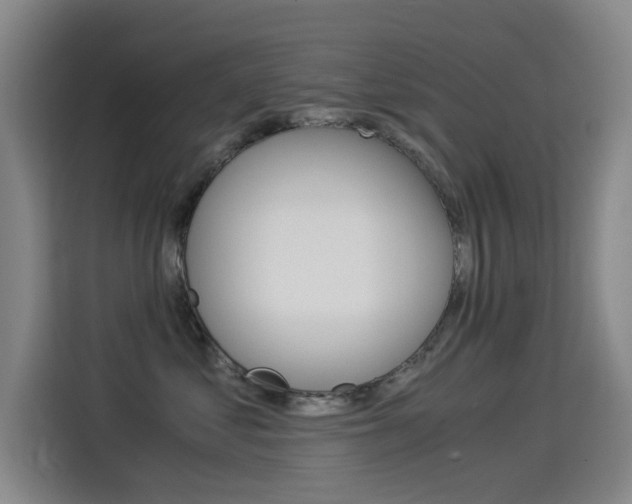 X0000114540621200910190932
