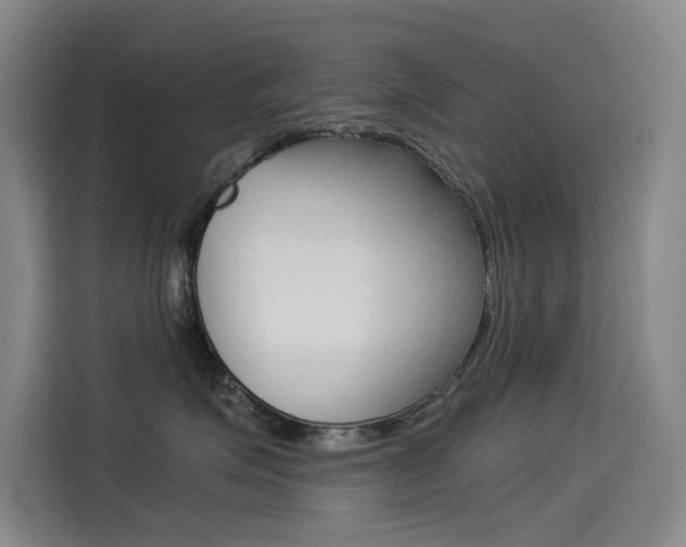 X0000114540623200910190932