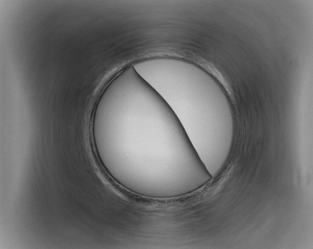 X0000114540625200910190932