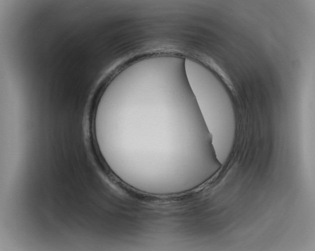 X0000114540629200910190932