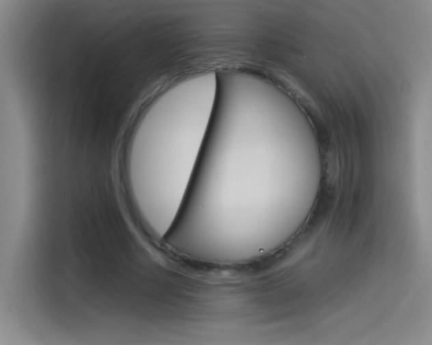 X0000114540634200910190932