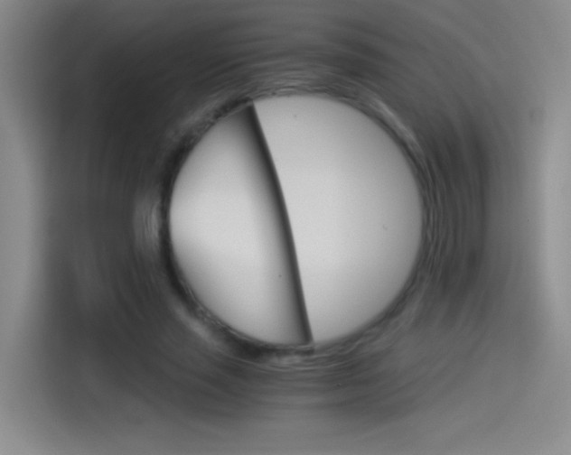 X0000114540637200910190932