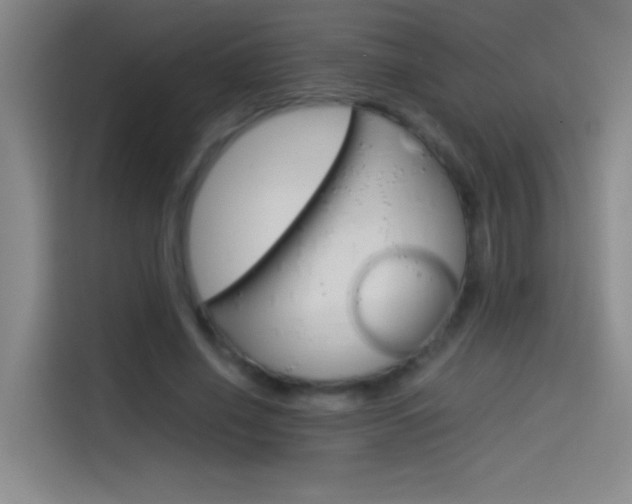 X0000114540638200910190932