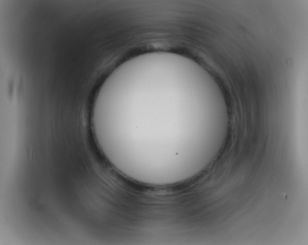 X0000114540639200910190932