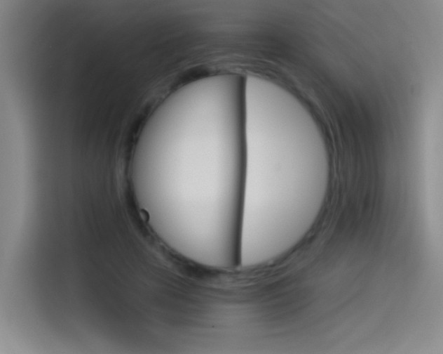 X0000114540641200910190932